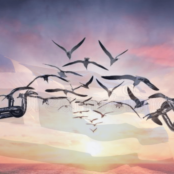 Η αυτεξουσιότητα, η ελευθερία και η συνέλευση των&nbsp;πολιτών